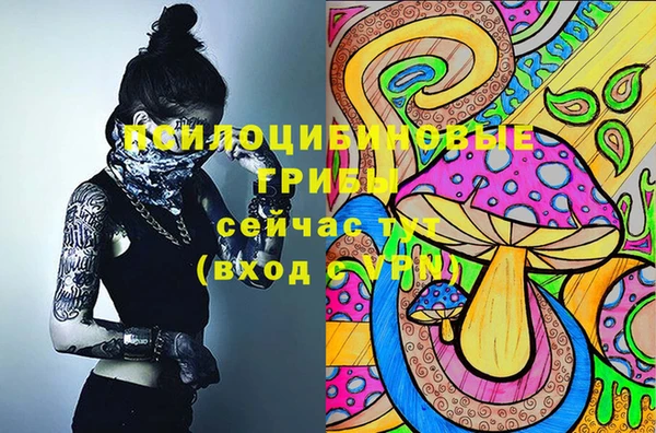 mdpv Верея