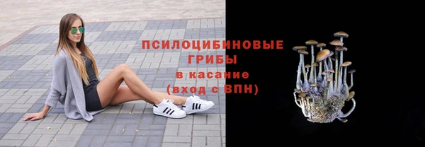 mdpv Верея