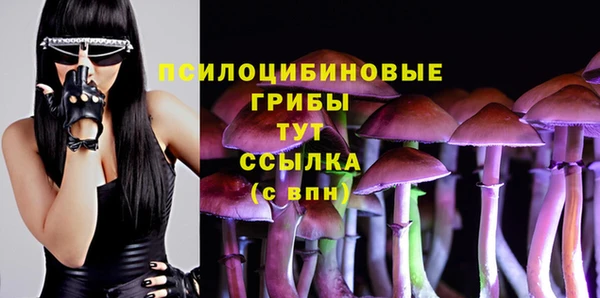 mdpv Верея