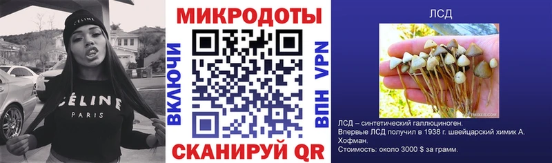 Купить закладки  Карасук  Псилоцибиновые грибы Cubensis 